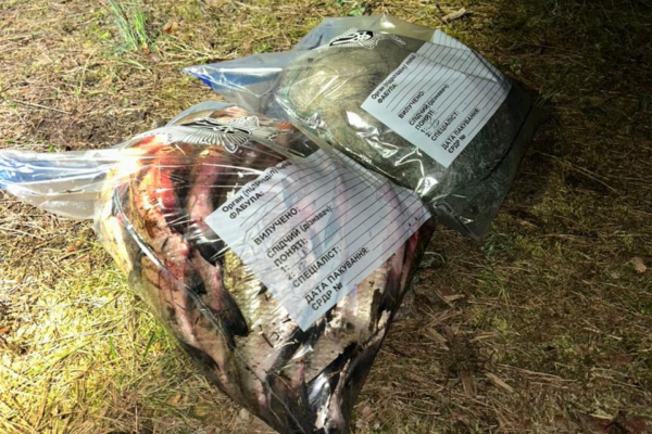 На Черкащині чоловіка з мішком лящів зупинив водний патруль: Збитки оцінили у 36 тис. грн