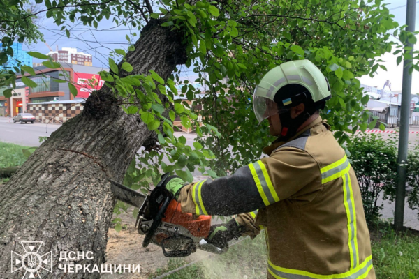 Через негоду на Черкащині рятувальники прибирали з доріг повалені дерева, які перекрили рух (ФОТО)