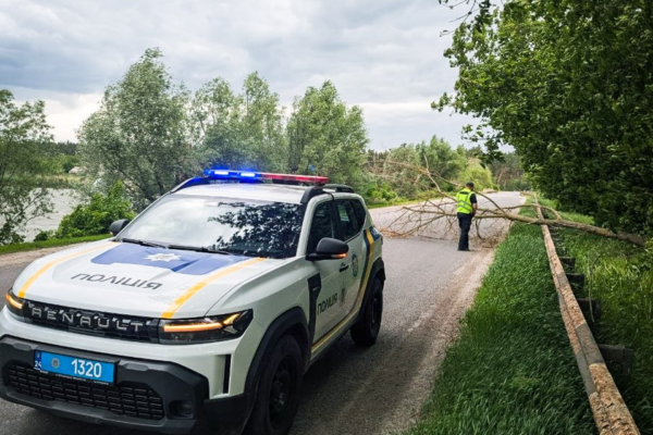 На Черкащині дерево після негоди паралізувало рух на трасі: Поліцейський самотужки розчищав дорогу (ФОТО)