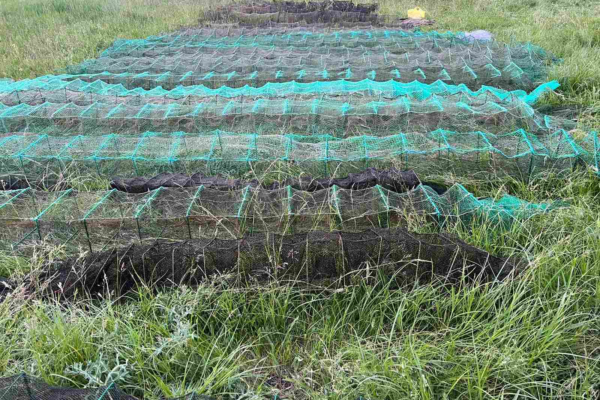 На Черкащині з браконьєрських пасток звільнили понад 800 раків