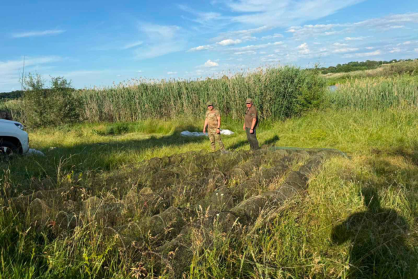 На Черкащині екологи врятували 563 раків із браконьєрських пасток