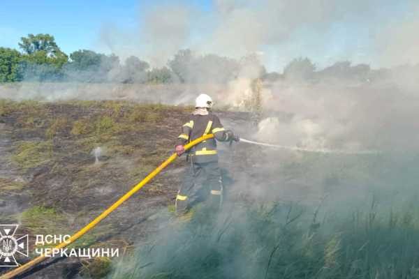 На Черкащині рятувальники ліквідували сім пожеж сухостою за день