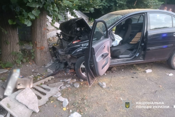 На Черкащині у ДТП загинула 66-річна водійка, яка врізалася в дерево
