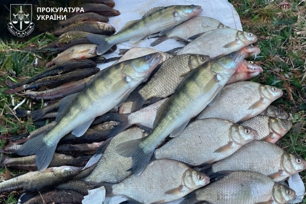 Браконьєр, який зловив 33 рибини на Росі на Черкащині, сяде на три роки