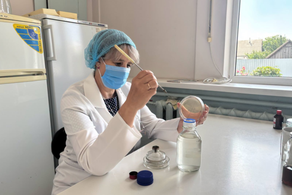 У водоймах на Черкащині знайшли умови для розвитку холерного вібріона: Що відомо