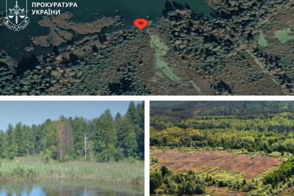 На Черкащині водойму за понад 5,6 млн грн хочуть повернути державі, оскільки підприємство не звітувало про вилов
