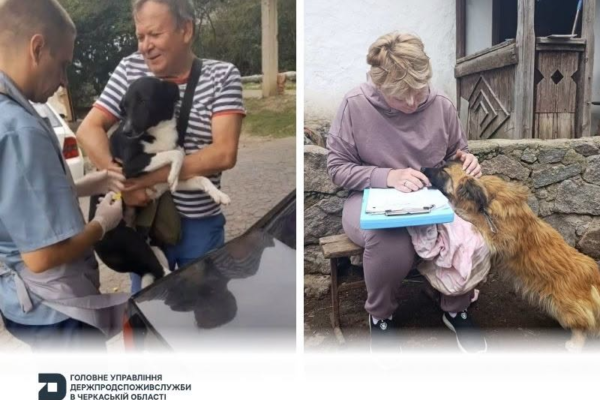 На Черкащині за пів року підтвердили 35 випадків сказу серед тварин