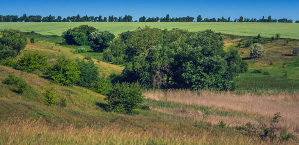 Після суду на Золотоніщині нарешті оформлять захист курганів і стародавнього майдану