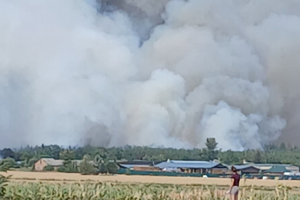 На Черкащині спалахнула пожежа: Вогонь вже знищив кілька будівель та поширився на ліс