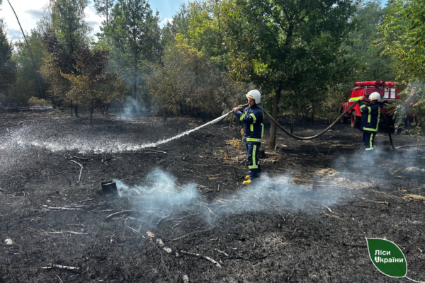 На Черкащині майже добу гасять масштабну лісову пожежу: Вогонь охопив близько 100 га