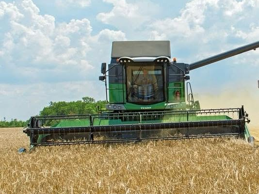 Черкаські аграрії зібрали майже 1,5 мільйона тонн зернових