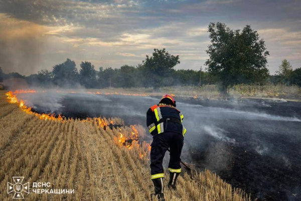 За добу на Черкащині спалахнуло 25 пожеж (ФОТО)