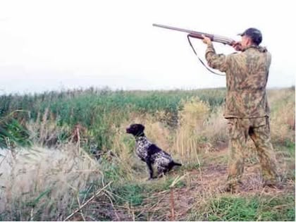 На Черкащині у перший день мисливського сезону оштрафували вісьмох порушників