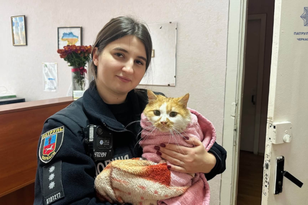 У Черкасах інспекторка поліції допомогла шкільному коту, на якого напали собаки